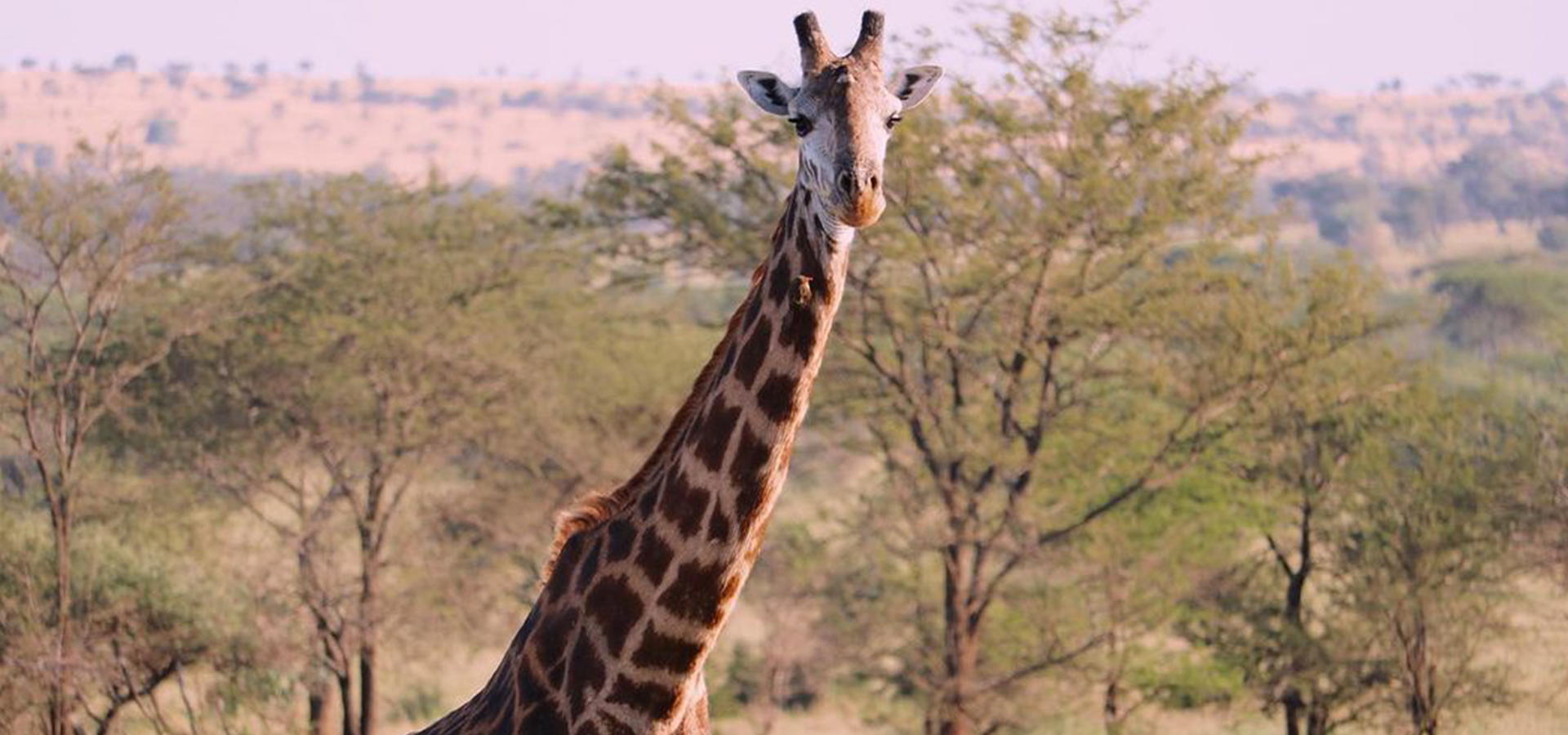 Arusha National Park day tour
